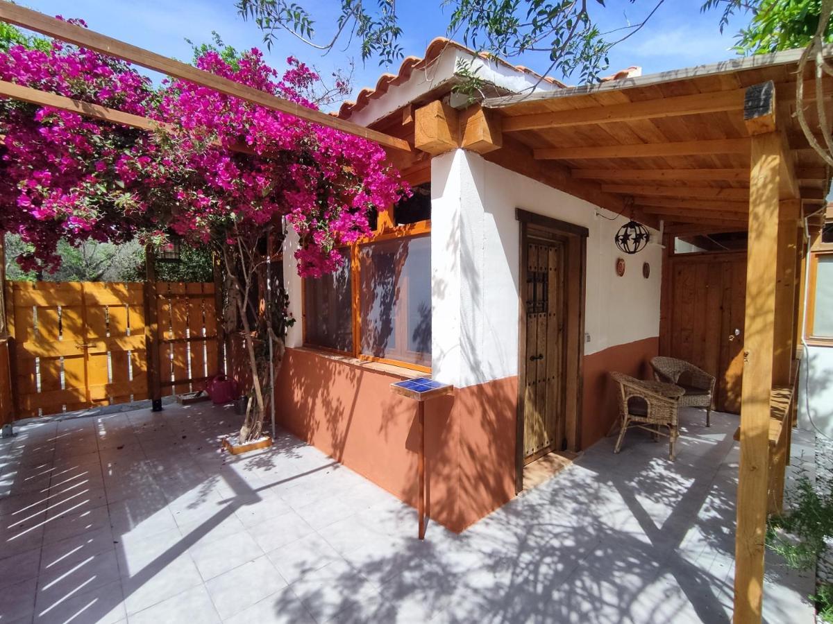 Apartamento El Grifo كارمونا المظهر الخارجي الصورة